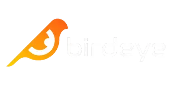 Birdeye